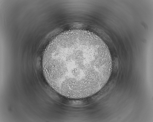 X0000113170361200910021527