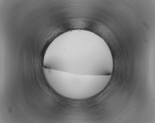 X0000113170362200910021527