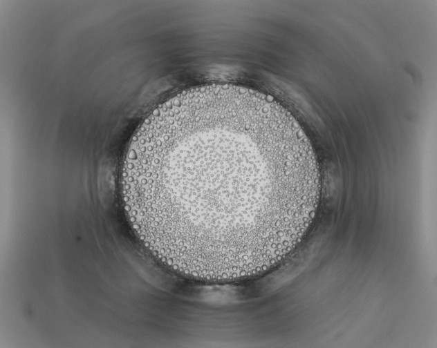 X0000113170363200910021527