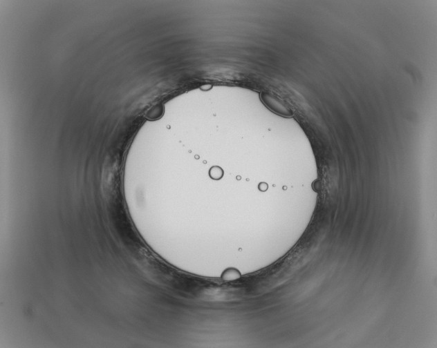 X0000113170364200910021527
