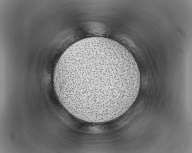 X0000113170365200910021527