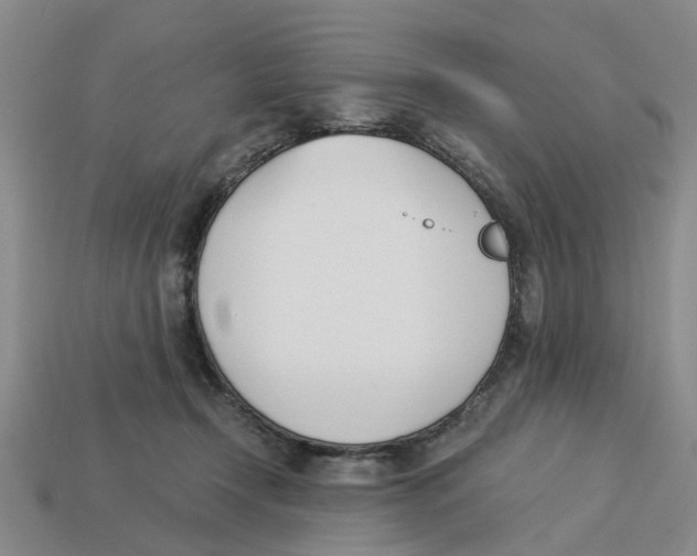 X0000113170366200910021527