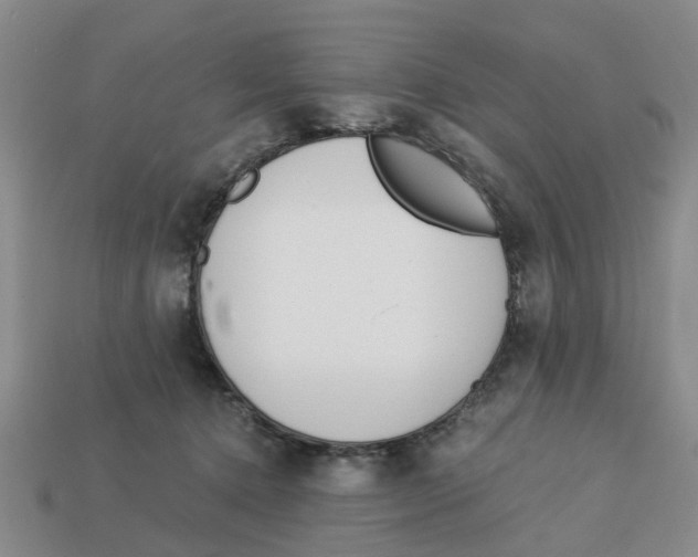 X0000113170368200910021527