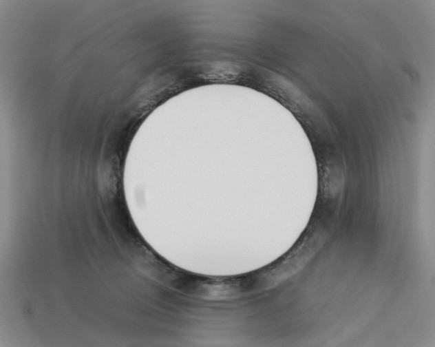 X0000113170370200910021527