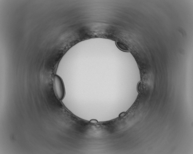 X0000113170372200910021527