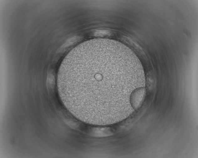 X0000113170375200910021527