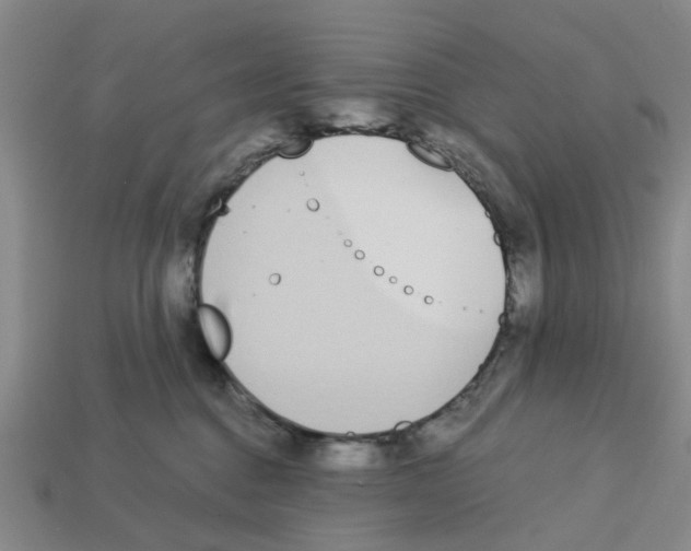 X0000113170376200910021527