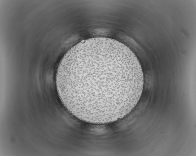 X0000113170377200910021527