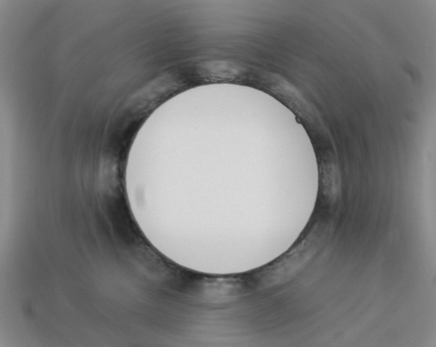 X0000113170378200910021527