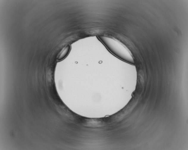 X0000113170380200910021527