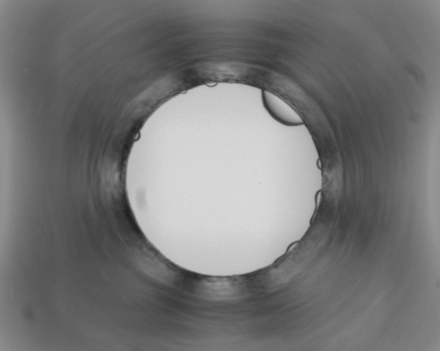 X0000113170381200910021527
