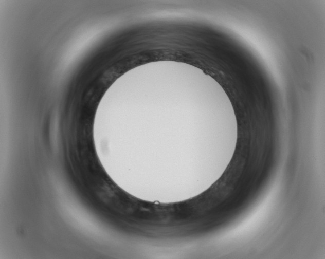 X0000113170382200910021528