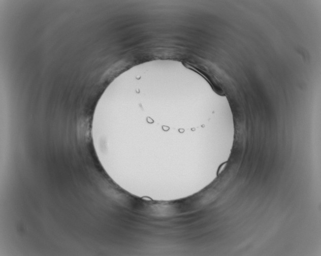 X0000113170383200910021528