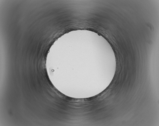 X0000113170384200910021528