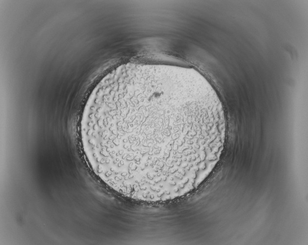 X0000113170386200910021527