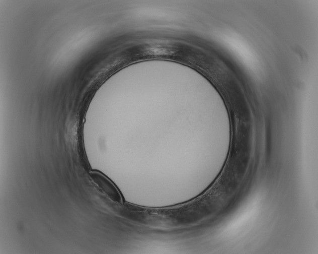 X0000113170387200910021527