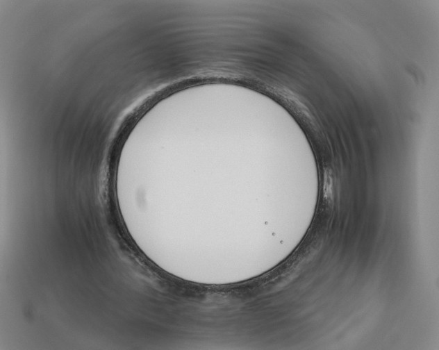 X0000113170388200910021527