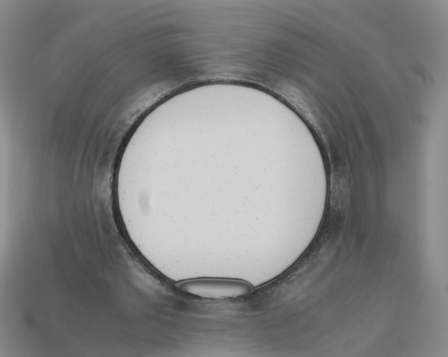 X0000113170389200910021527