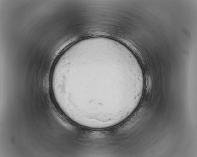 X0000113170390200910021527