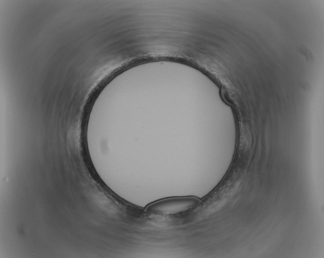 X0000113170391200910021527