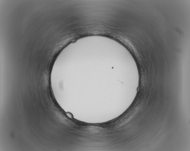 X0000113170393200910021527