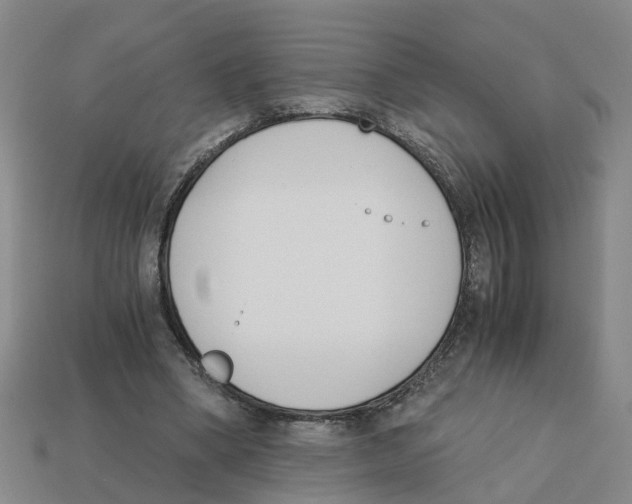 X0000113170394200910021527