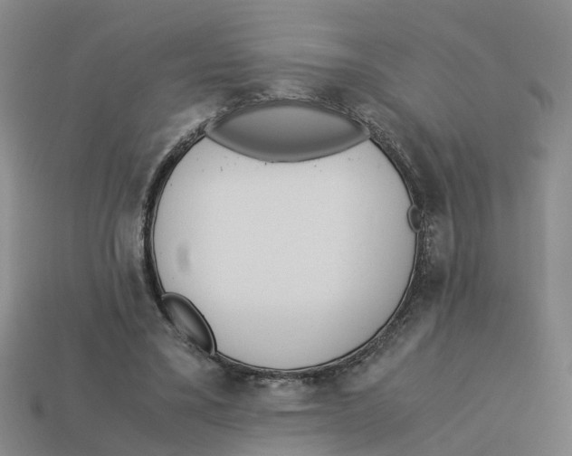 X0000113170395200910021527