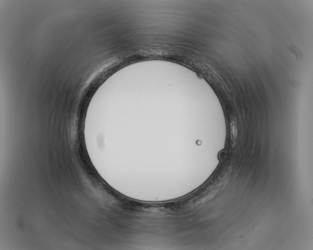 X0000113170396200910021527