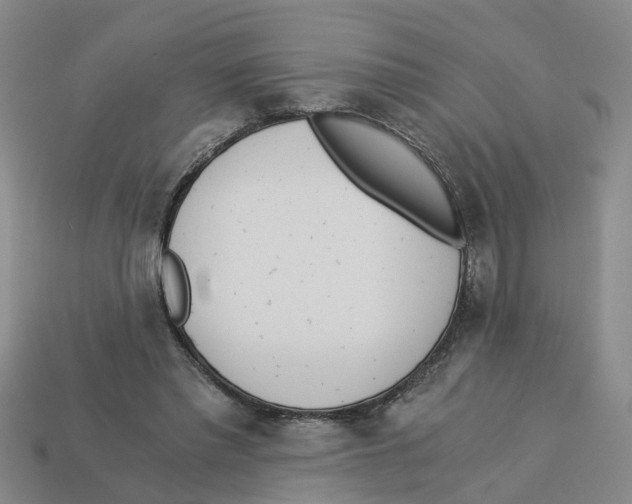 X0000113170397200910021527