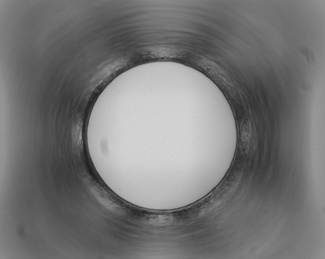 X0000113170398200910021527