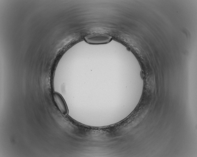 X0000113170399200910021527