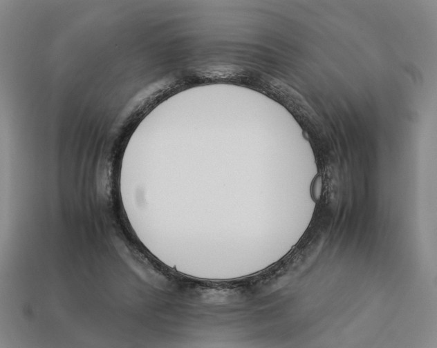 X0000113170400200910021527