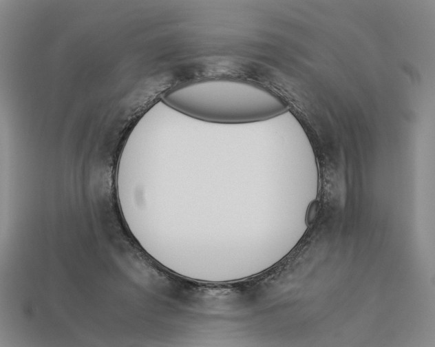 X0000113170401200910021527