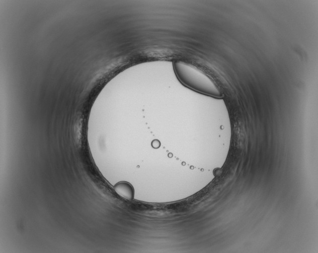 X0000113170404200910021527