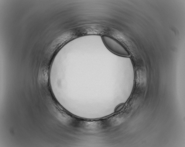 X0000113170405200910021527