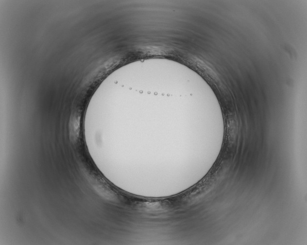 X0000113170406200910021527