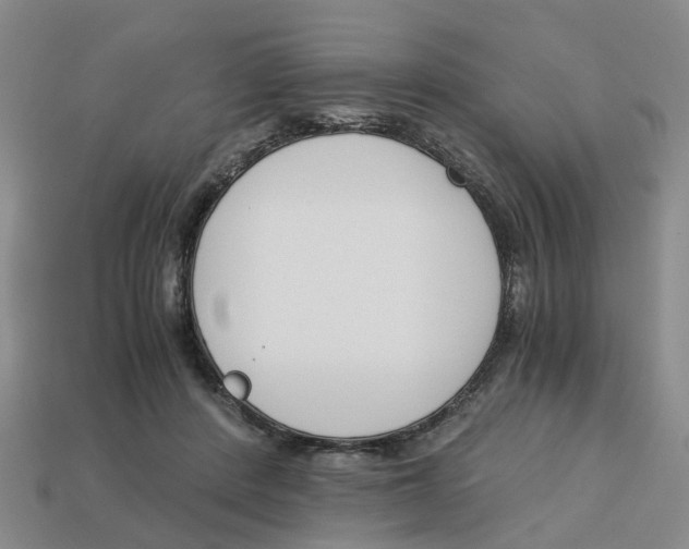 X0000113170408200910021527