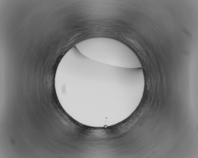 X0000113170409200910021527