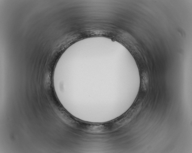 X0000113170410200910021527