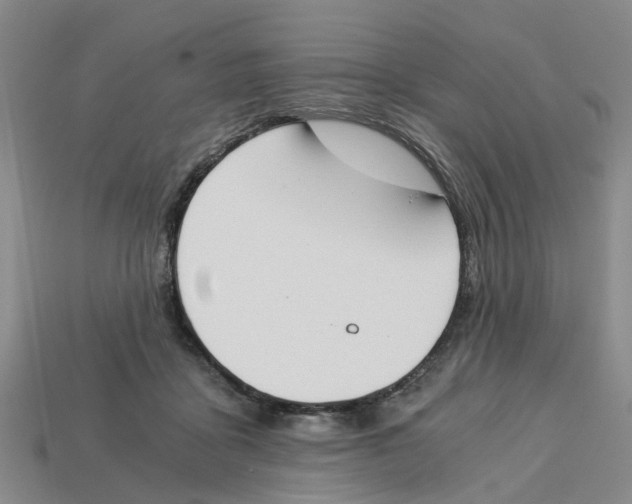 X0000113170411200910021527