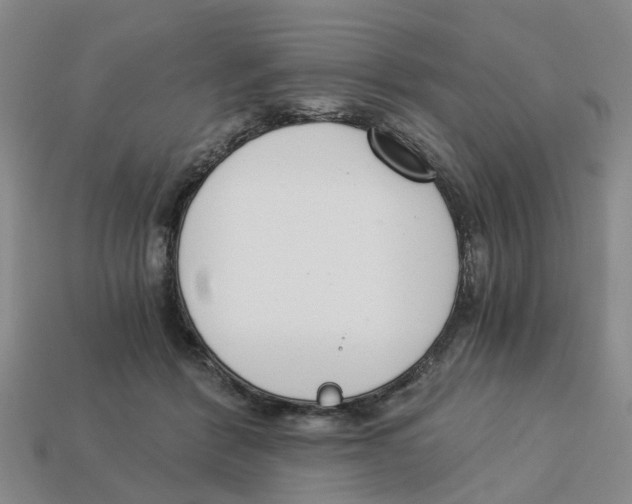 X0000113170412200910021527