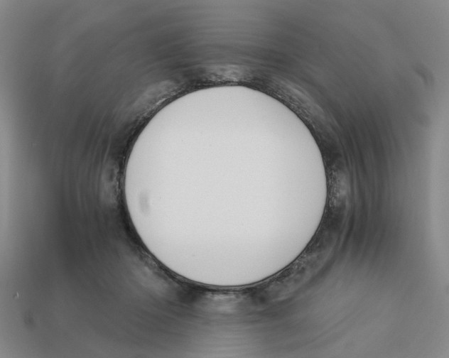 X0000113170414200910021527