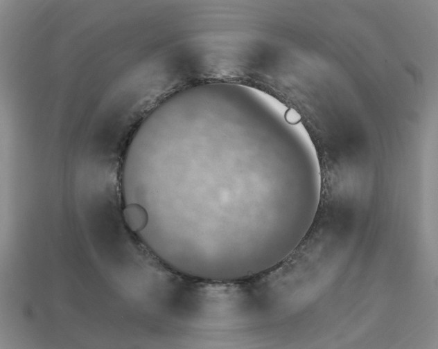 X0000113170415200910021527