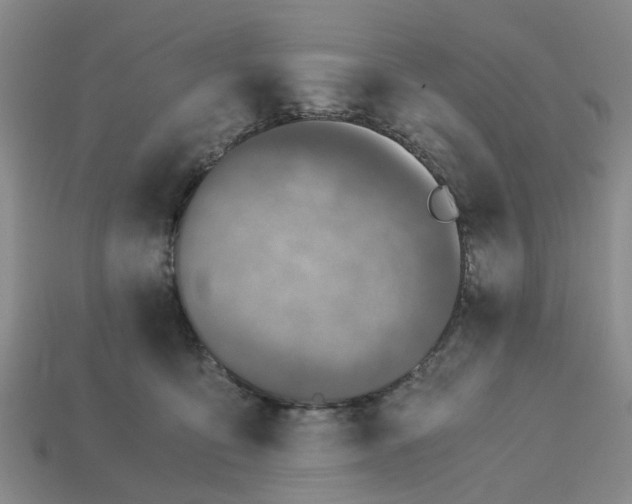 X0000113170419200910021526