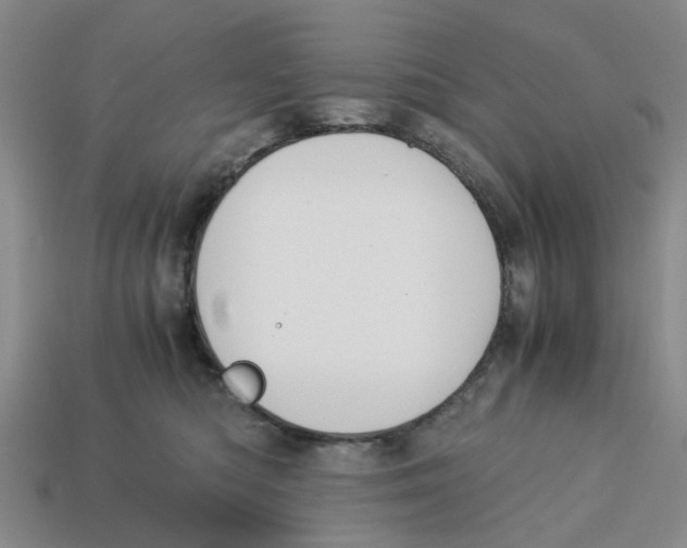 X0000113170422200910021526