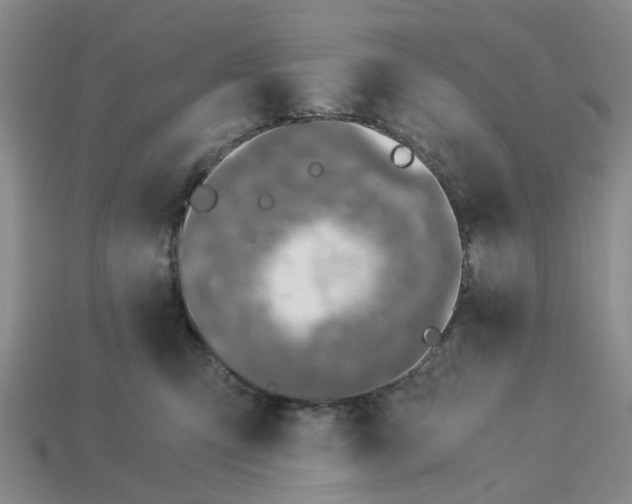X0000113170423200910021526