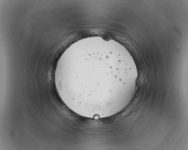 X0000113170424200910021526