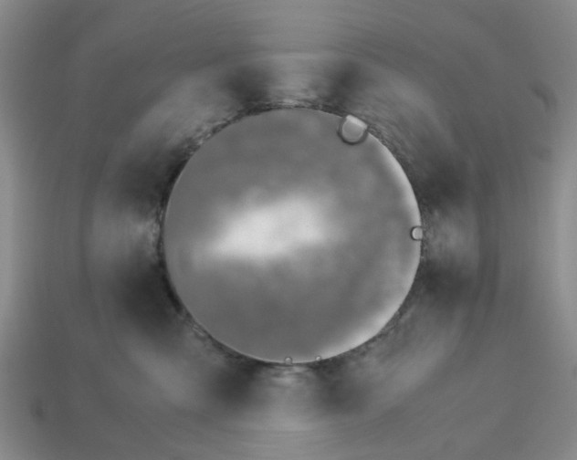 X0000113170427200910021526