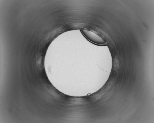 X0000113170428200910021526