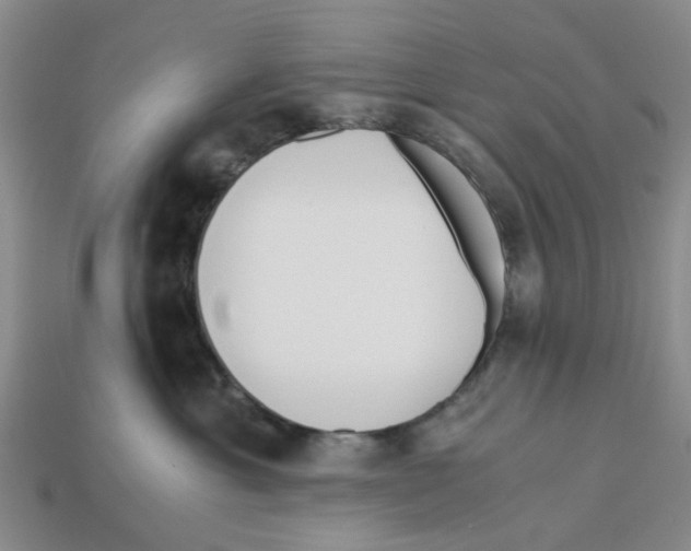 X0000113170429200910021526